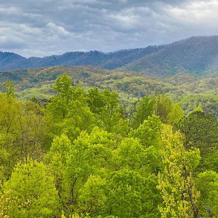 Villa Amazing Views Gatlinburg Zimmer foto